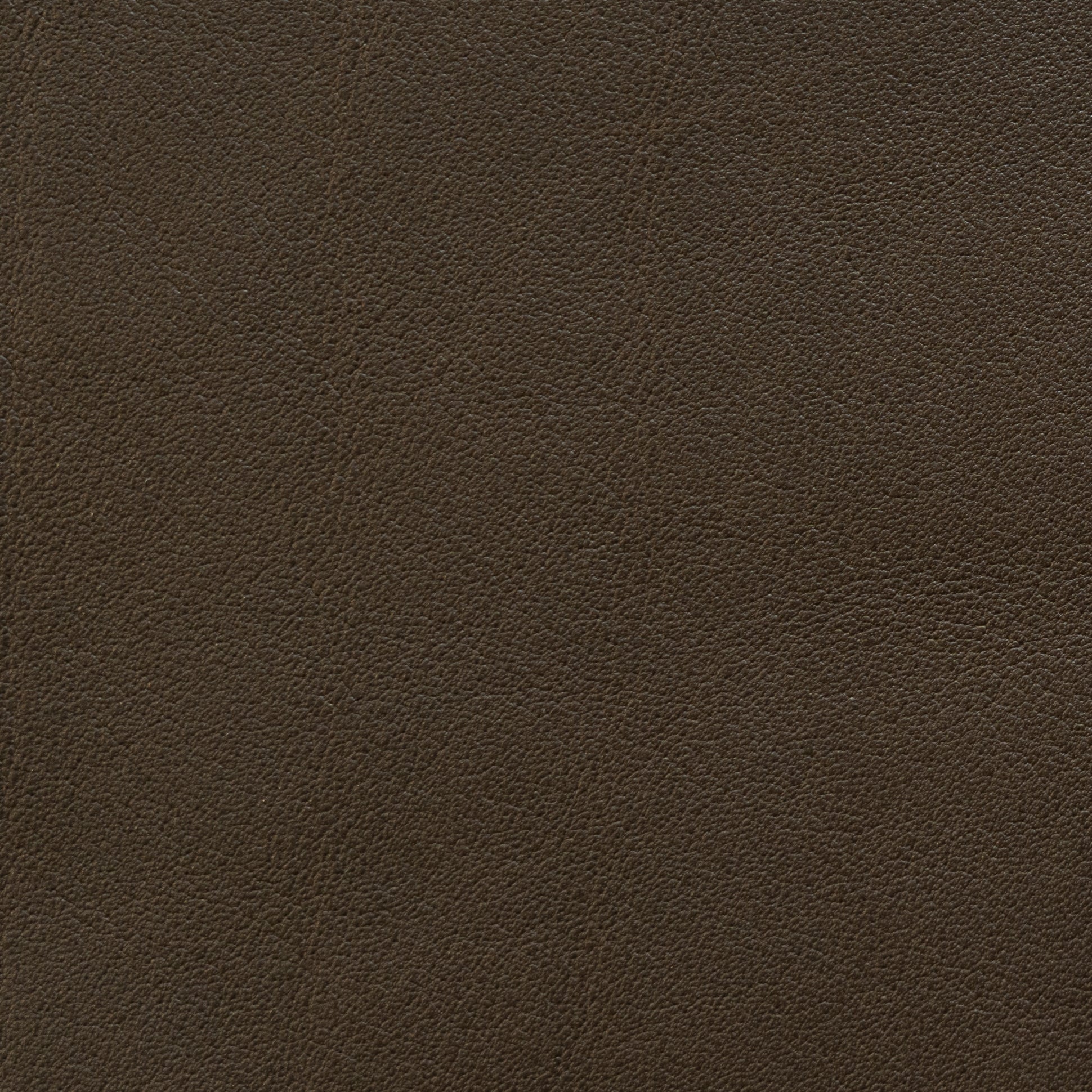 Leder 03