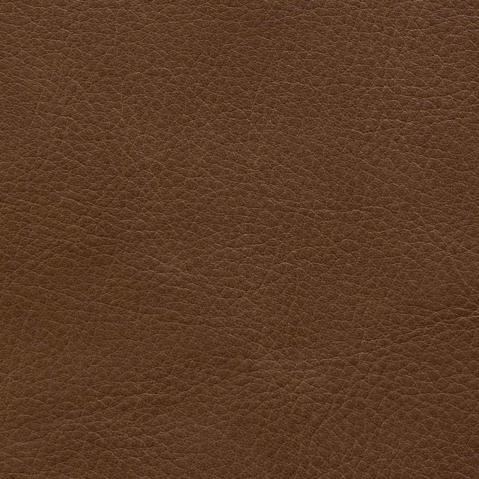 Leder 02