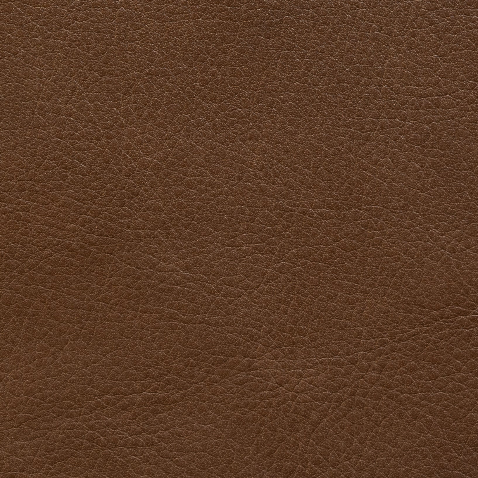 Leder 02